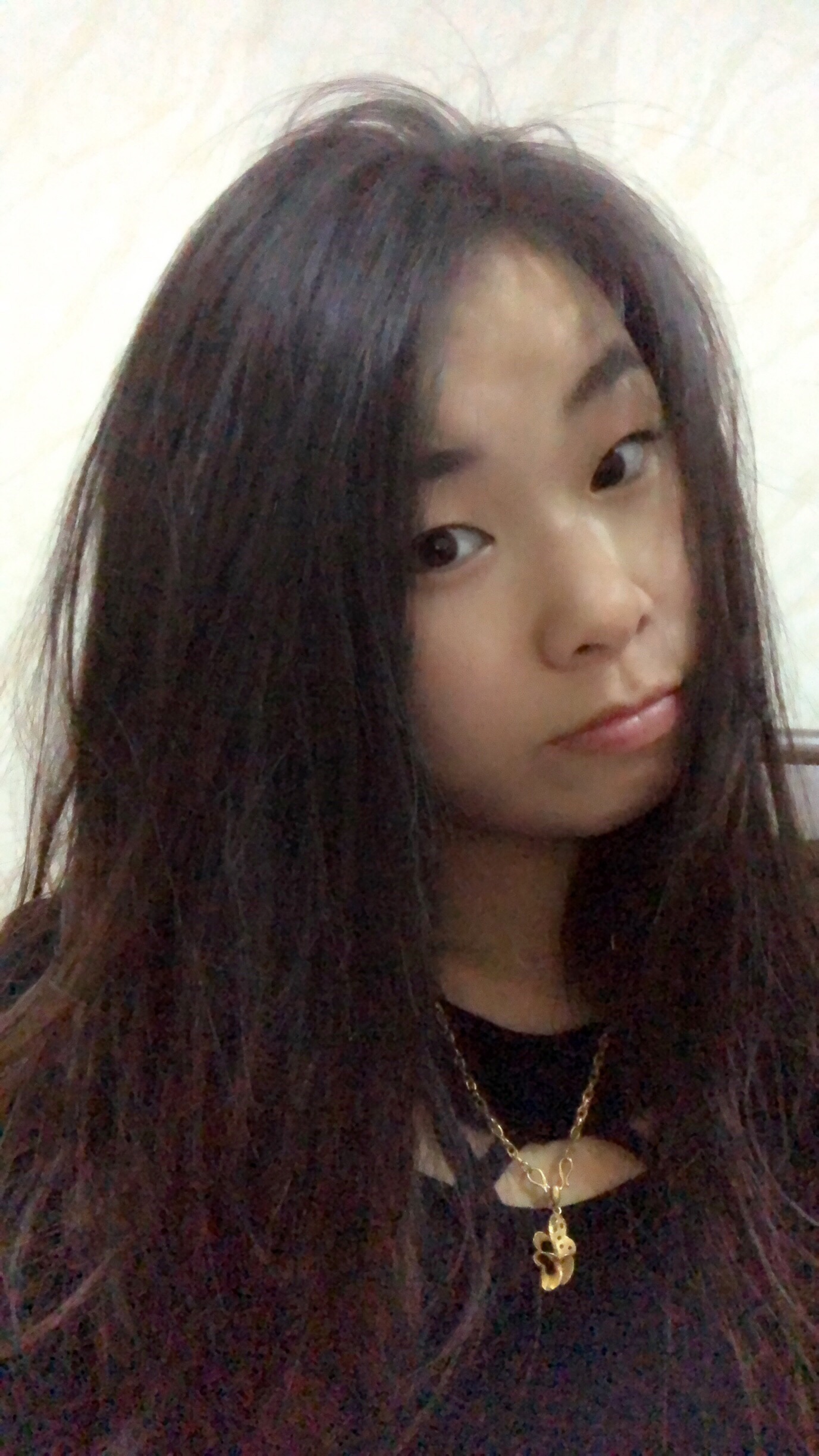 zxs242279